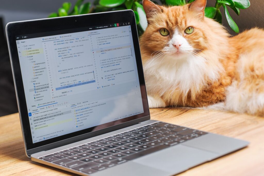 Is Katfile safe to use — Understanding Katfile and Its Features